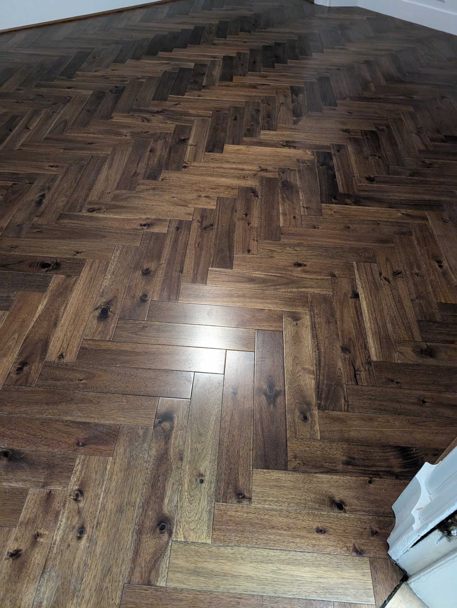 PXL_20241204_165526923